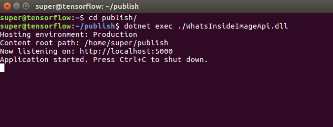 web-api-running.png